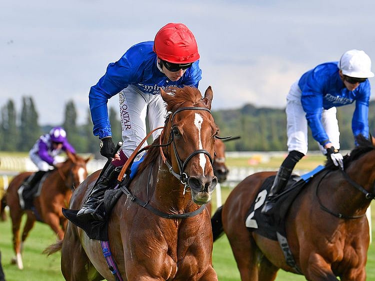 Silent Escape claims Dubai Duty Free Cup ahead of stablemates D’bai and Al Suhail