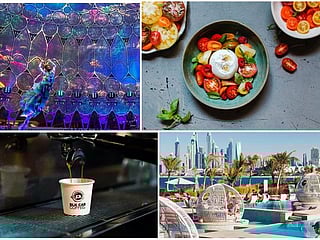 Dubai, Sharjah: 10 incredible things to do this weekend
