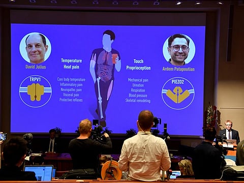 Nobel Committee member Patrik Ernfors explains the 2021 Nobel Prize in Physiology or Medicine during a press conference at the Karolinska Institute in Stockholm, on October 4, 2021.  