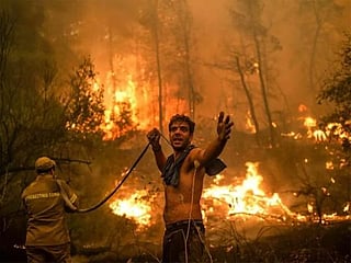 Fires, floods, flying insects: 10 recent climate-fuelled disasters