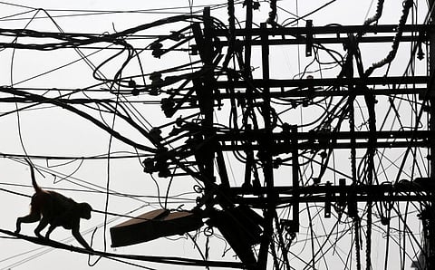  A macaque monkey walks along electricity cables in Old Delhi in a file photo.