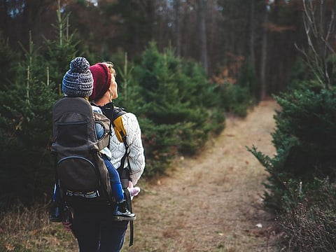 Travel industry must go for a re-set as travel and travellers make a return. 