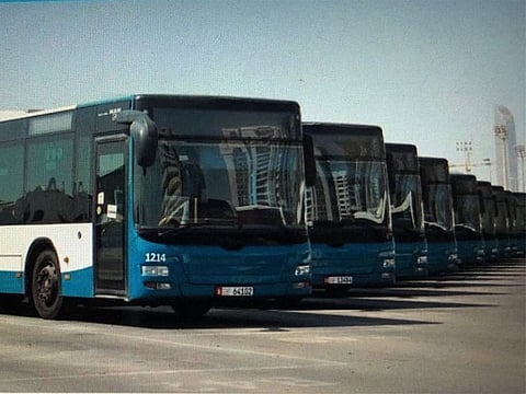 The fleet of new buses in Abu Dhabi.