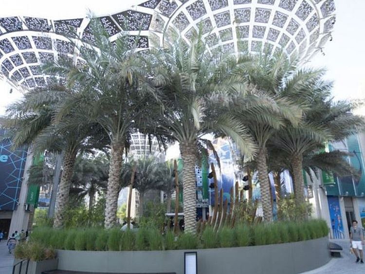 How Expo 2020 Dubai brought green gardens in the middle of a desert