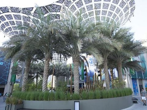 How Expo 2020 Dubai brought green gardens in the middle of a desert