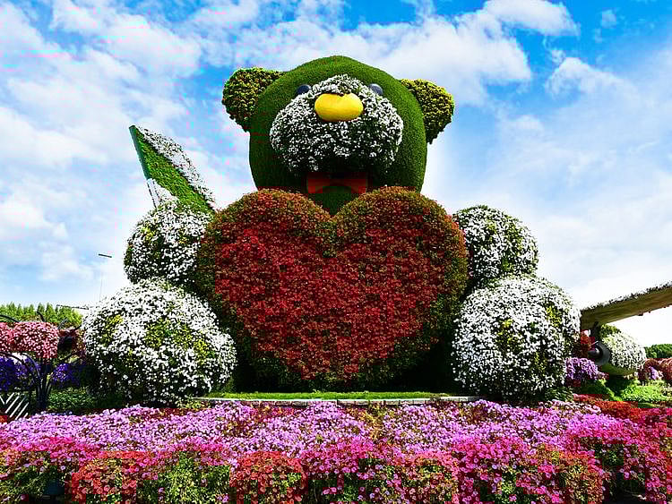 Dubai Miracle Garden