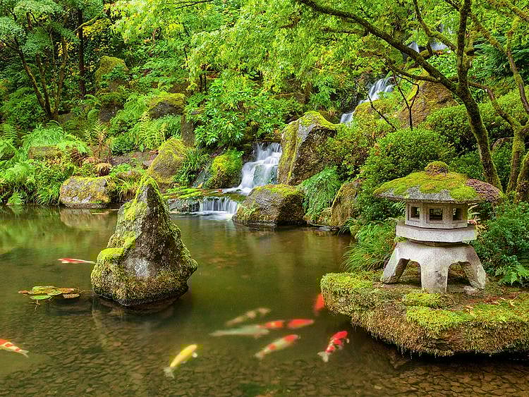 Japanese garden 