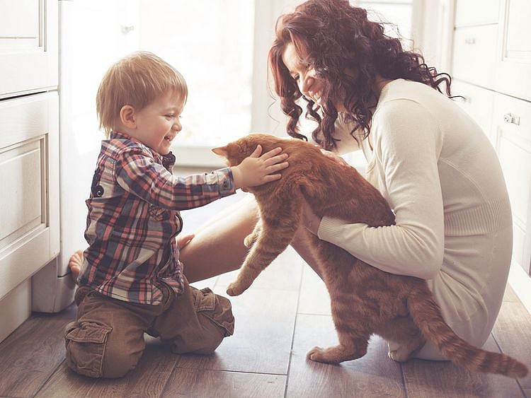 Family with cat