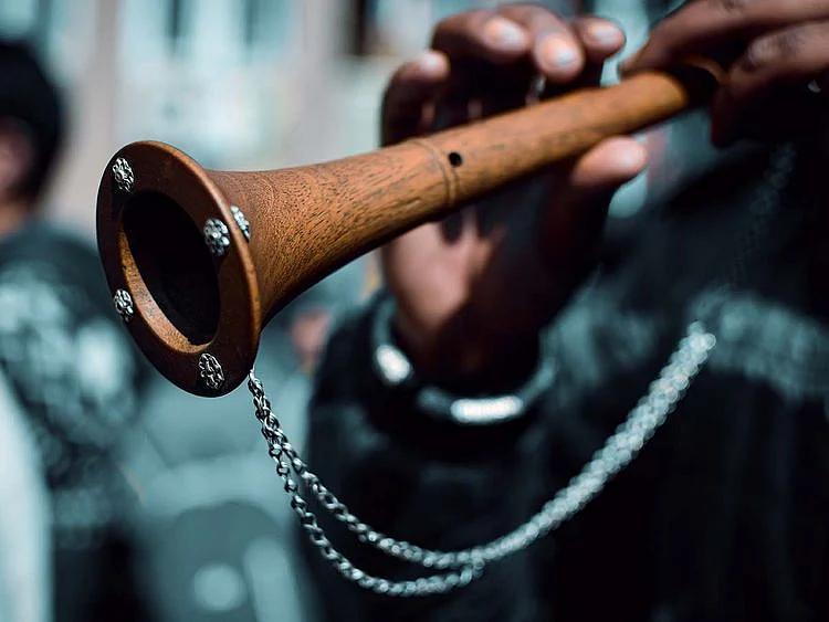 The shehnai is a north Indian oboe