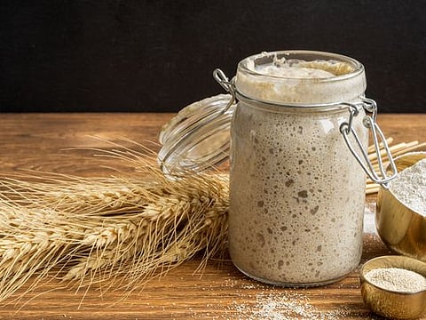 Sourdough bread starter recipe
