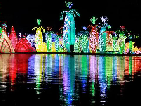 Dubai Garden Glow is home to the Alluring Glow Park, a Dinosaur Park and Magic Park— all of which feature a whole array of exciting offerings this new season