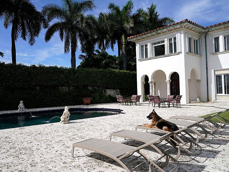 Dog_Sells_Mansion_85617