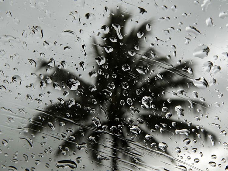 Rain in UAE