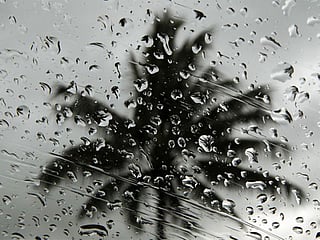  Abu Dhabi Police have warned drivers that wet roads may reduce visibility and advised following variable speed limits.