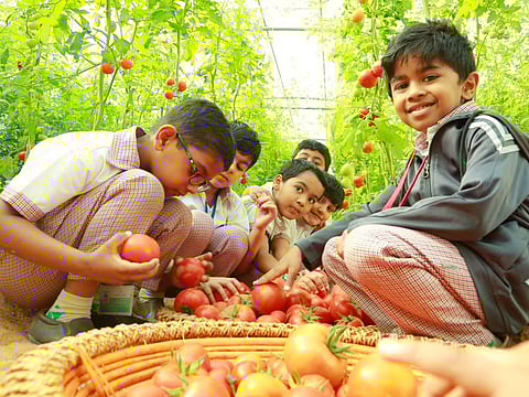 School students with their farm produce. 