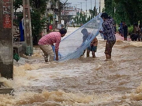 People try to catch fish on a flooded road following heavy downpour, in Tirupati, on November 19, 2021. 