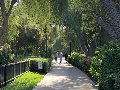 Umm Al Emarat Park in Abu Dhabi. 