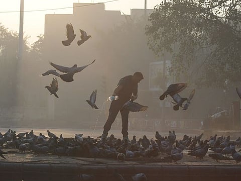 A person provides water for pigeons amidst dense smog during morning hours, in New Delhi on November 24, 2021.