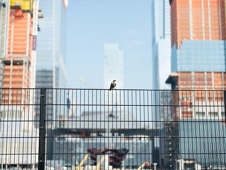 Life in city