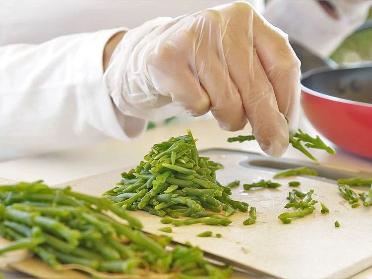Salicornia farm UAE