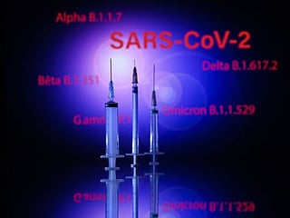 Vaccination, not travel curbs, key to battling Omicron, WHO says