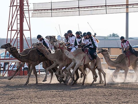 The UAE Camel Trek Marathon for Expats was a tight race from start to finish among the competitors who came from diverse backgrounds, representing 18 countries.