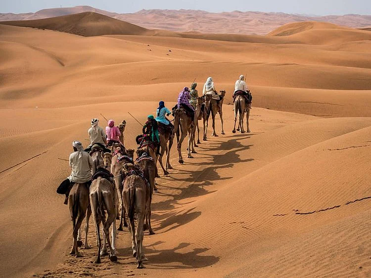 Camel Trek 2021 HHC