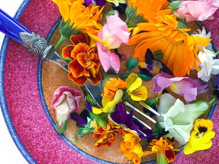 From medieval monks to Michelin-starred chefs, edible flowers’ culinary journey 