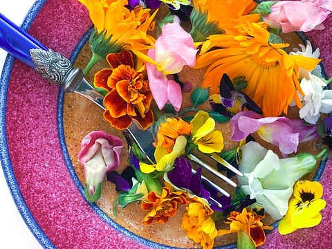 From medieval monks to Michelin-starred chefs, edible flowers’ culinary journey 