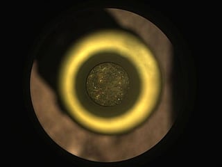Pictures of the year 2021: Space