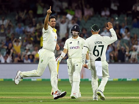 Australia's Mitchell Starc celebrates the wicket of England's Rory Burns during the Cricket second Test at Adelaide Oval.