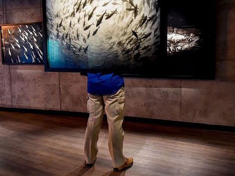 Photo exhibition titled 'Salt, Sweat, Blood' by Francesco Zizola on the opening day of Gallery X at Al Majaz Amphitheatre in Sharjah on Monday