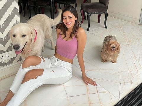 Ananya Panday