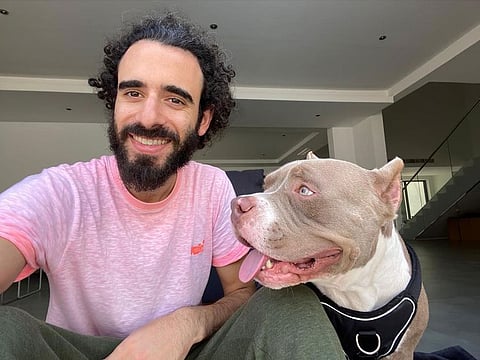 Samer Saad with his American Bully Hulkii