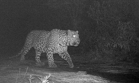 The leopard preservation zone on the Margalla Hills.