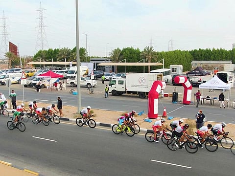  The last race of the year took place on December 18 and saw 65 male and 39 female professional cyclists taking part in the 60km and 36km events, respectively.