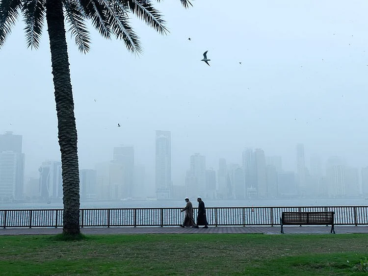 STOCK WEATHER FOG