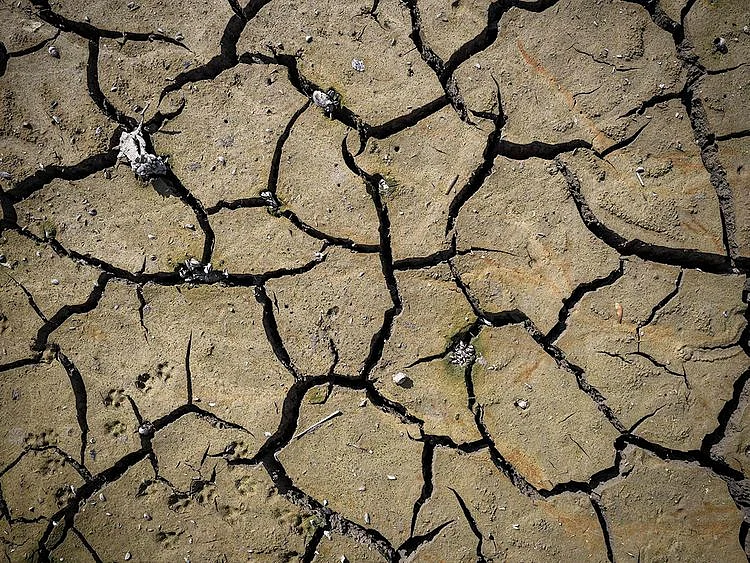 CLIMATE PIC