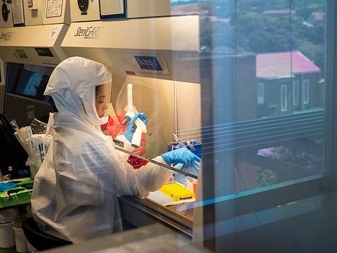 Scientists at the Africa Health Research Institute in Durban, South Africa, work on the Omicron variant of the COVID-19 virus.