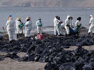 Photos: Oil cleanup crews replace bathers on Peru beaches