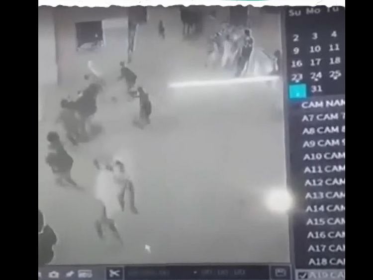  The video, filmed in the southern city of Basra, shows the animal charging into the school and brutally attacking students and workers. 