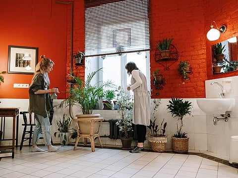 The moisture-laden environment of the bathroom is perfect for growing certain plants