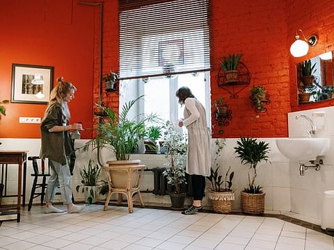 The moisture-laden environment of the bathroom is perfect for growing certain plants