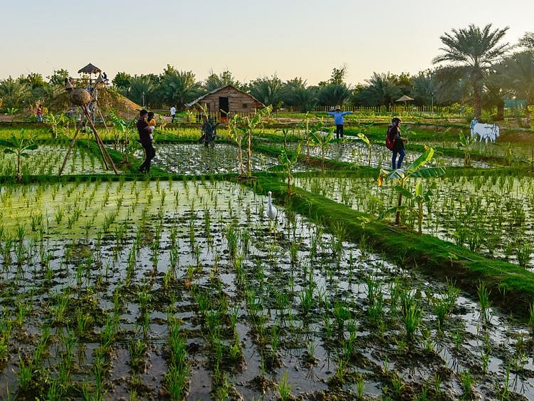 NAT 220127 GREEN PARADISE ARAMZAN-30-1644298002304