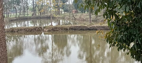 The ponds ready to be gifted for daughters. 