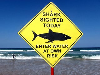 Australia: Shark kills swimmer in Sydney’s first fatal attack in nearly 60 years