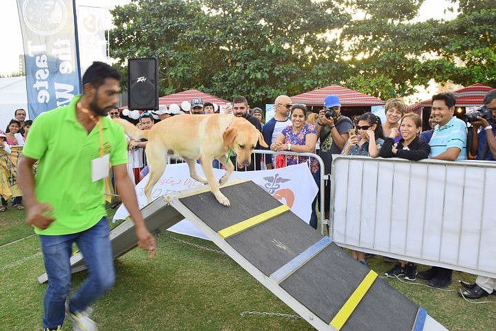 91295912321_9-1645097099612