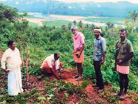 Jayan plants a jackfruit sapling in Shornur, Kerala, along with his green campaigners as part of his conservation project. He has planted more than 20,000 jackfruit trees in Kerala.
