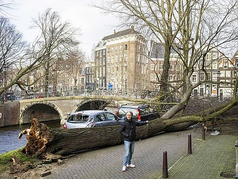 A pedestrian shows a fallen tree beside the side of a canal in Amsterdam on February 18, 2022, after Storm Eunice passed across northern Europe.  