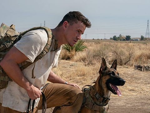 Channing Tatum poses for a portrait at the Four Seasons Hotel to promote his film "Dog" in Los Angeles on February 6, 2022.